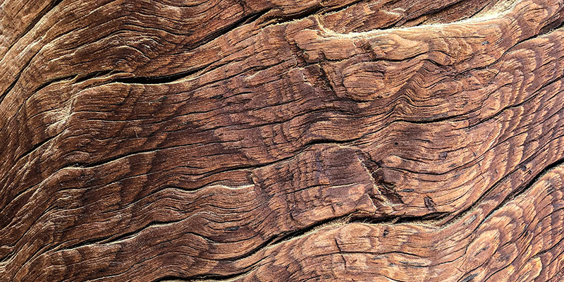 wood
